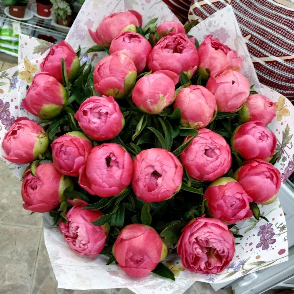 Букет